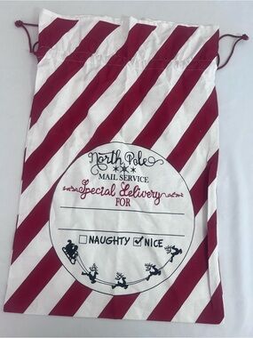 Hobby Lobby North Pole Mail Service 'Special Delivery' Holiday Gift Bag